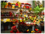 Floriculturas
