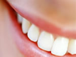 Odontologia
