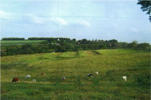Clube de Campo